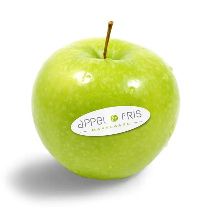 Appel & Fris Makelaars