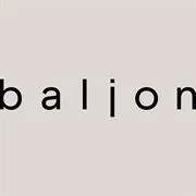 Baljon makelaars